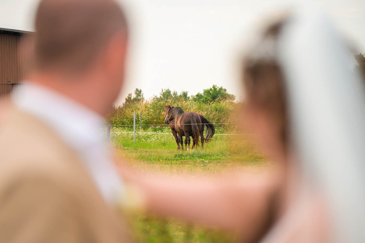 Svatební fotograf Farma Klokočov: příběh svatby uprostřed přírody